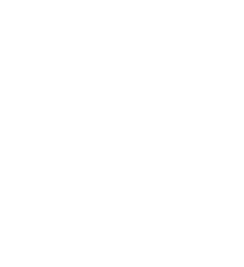micro_image